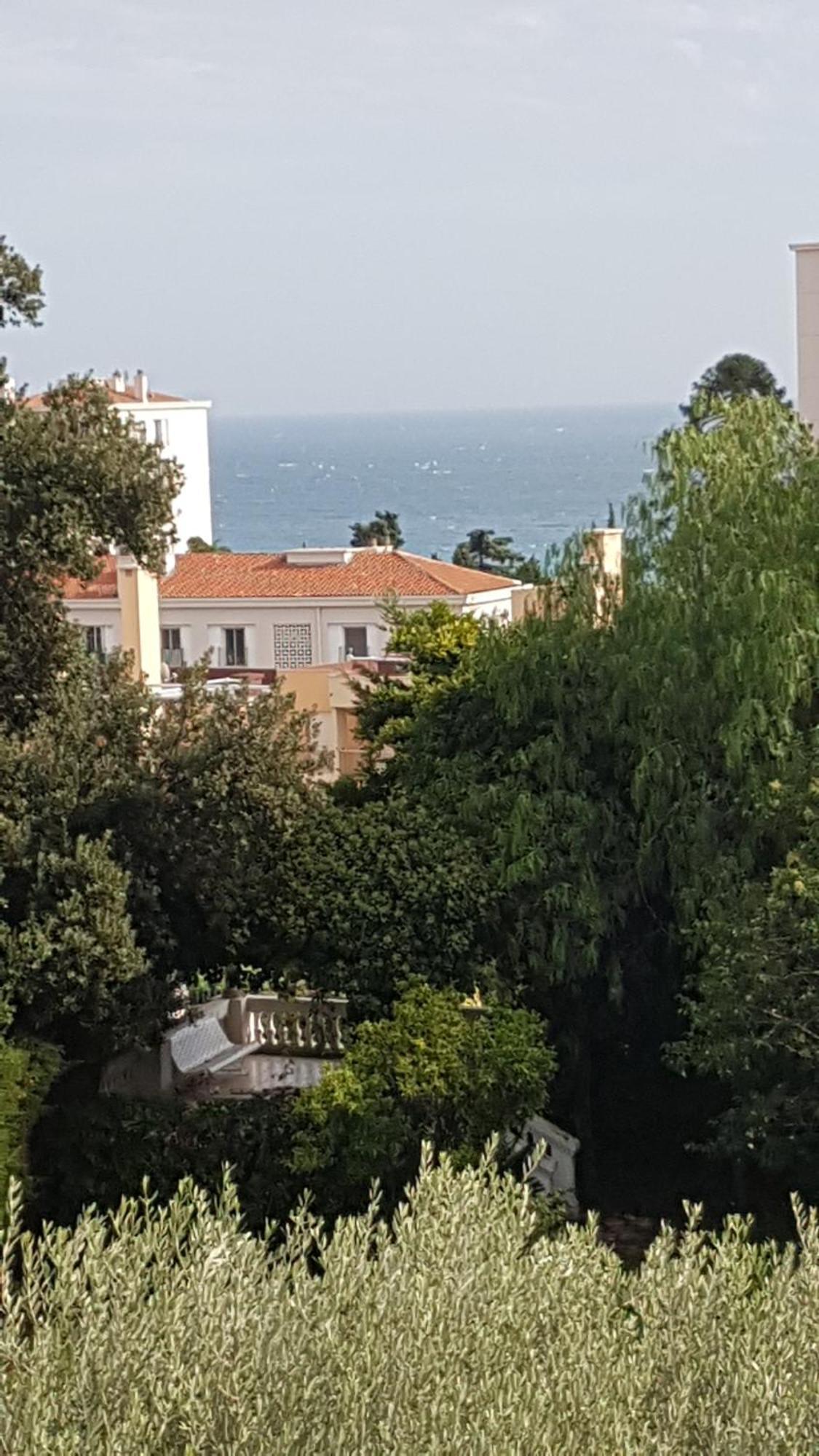 Les Palmiers A 700M De La Mer Nizza Zimmer foto