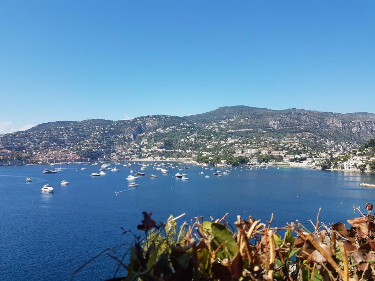 Les Palmiers A 700M De La Mer Nizza Exterior foto