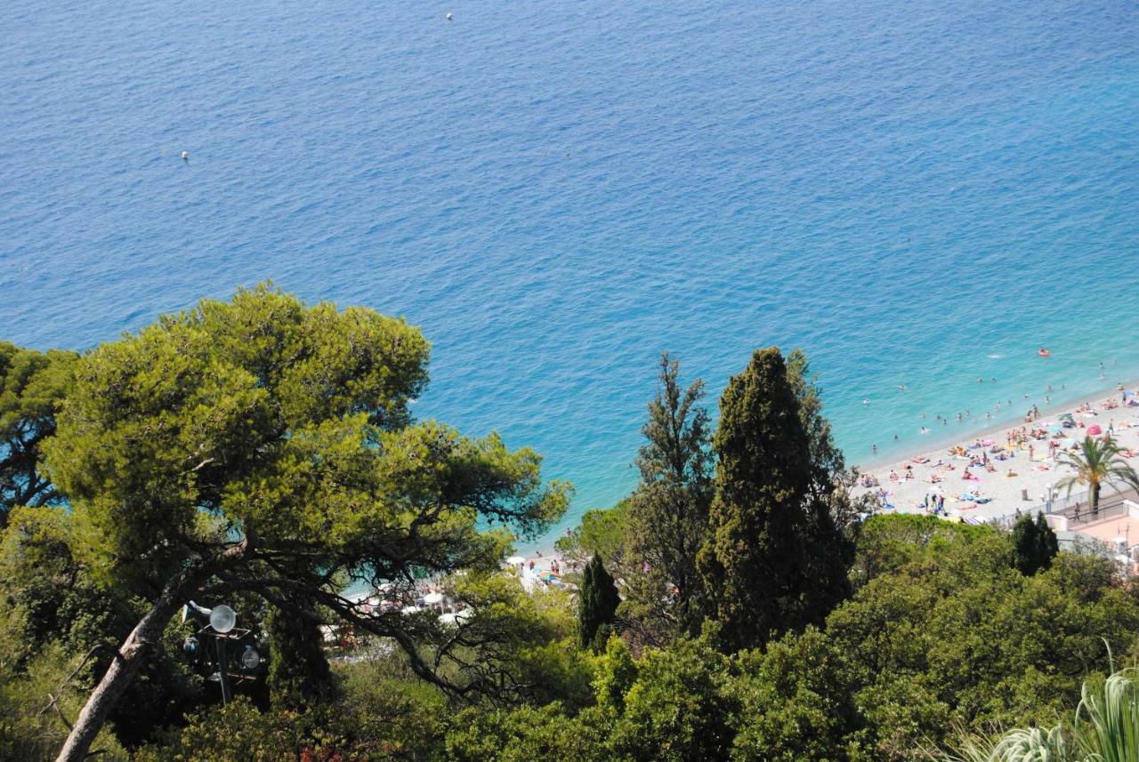 Les Palmiers A 700M De La Mer Nizza Exterior foto
