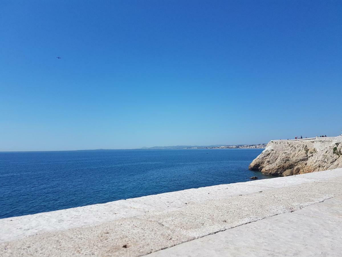 Les Palmiers A 700M De La Mer Nizza Exterior foto