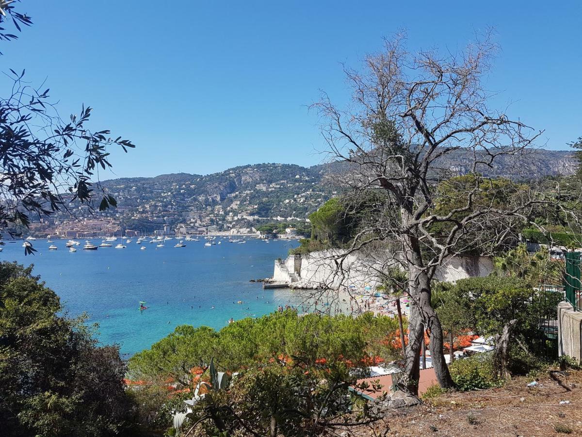 Les Palmiers A 700M De La Mer Nizza Exterior foto