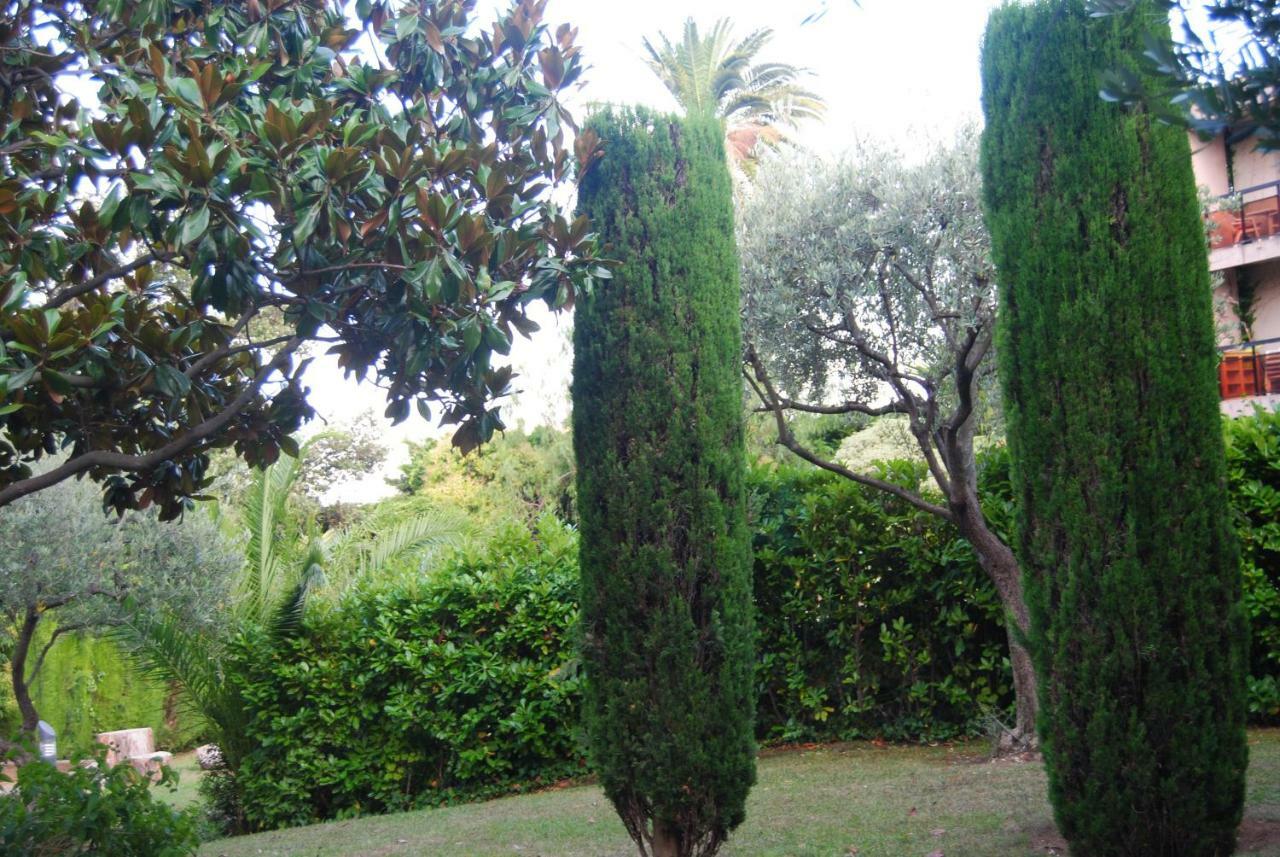 Les Palmiers A 700M De La Mer Nizza Exterior foto